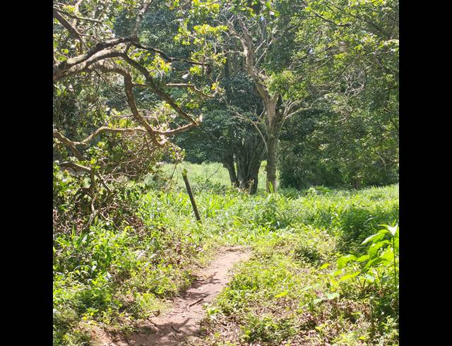 6,000M² VACANT LAND FOR SALE IN CLIFTON PARK